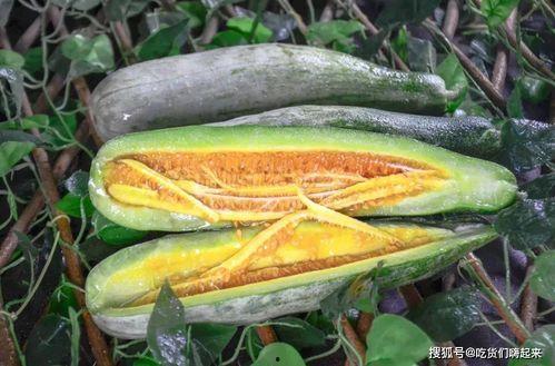 网红小鱼棠最新吃瓜,揭秘娱乐圈幕后真相  第2张